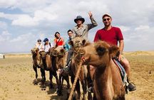 13-Day Adventure: South Gobi & Central Mongolia