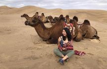13-Day Adventure: South Gobi & Central Mongolia