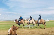 6 Days Private Tour in Gobi Desert