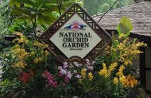 Private Half Day Singapore City Tour with Botanical Orchid Garden