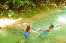 Mayfield Falls Private Tour