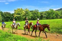 Horseback + Natural Pool Adventure in Jaco Beach and Los Suenos 