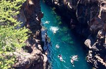 Bay Tour in Santa Cruz - Galapagos Islands