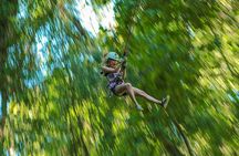 Outdoor Ziplining and UTV Adventure from Los Cabos