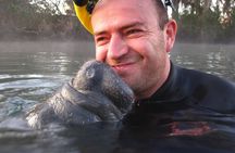 Private 'OG' Manatee Snorkel Tour with Guide for up to 10 people
