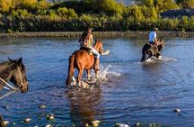Horseback Private Wine Tour and Country Grill from Santiago