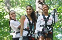 Adventure Park Climbing Experience