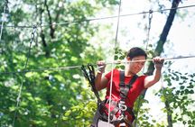 Adventure Park Climbing Experience
