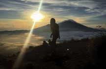 Private Tour: Bali Mount batur Sunrise Hike & coffe Platantion