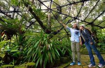 Kinabalu National Park Tour