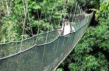 Kinabalu National Park Tour