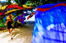 Bora Bora: Half Day Island 4WD Guided Tour