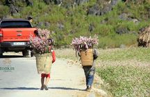 Ha Giang 3 days/ 2 nights adventure: Amazing adventure & mountain pictureques