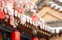 2-Day Private Classic Xi'an City Tour from Beijing by Bullet Train
