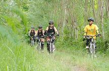 Kintamani Downhill Cycling Tour