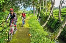 Kintamani Downhill Cycling Tour