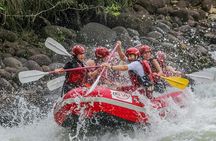 Whitewater Rafting Sarapiqui River Class 3-4 San Jose One Day
