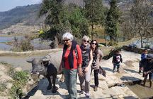 4-day Yuanyang & Stone Forest Photograph Tour