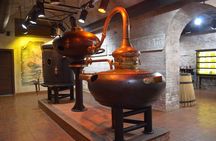 Shustov brandy tasting