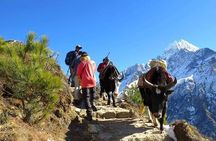 Everest Base Camp Trek