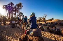 Small Group 3-Days Fez to Marrakech Desert Tour 