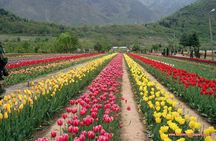 5 Day Paradise Kashmir Tour