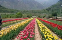 Private 6 Days Splendid Kashmir Tour