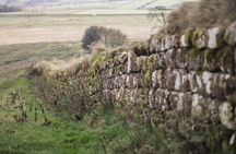 Private Tour of Roman Britain & Hadrian's Wall from Windermere