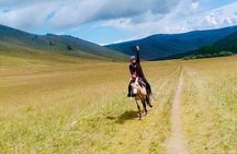12-day Gobi and Central Mongolia Adventure