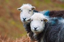 Private Tour: The Lake District from Liverpool