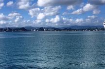 Half-Day Center of Puerto Rico Cultural Tour