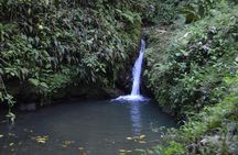 Half-Day Center of Puerto Rico Cultural Tour