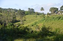 Puerto Rico Waterfall Hiking Tour: Discover Hidden Gems 2.0