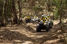 Jungle double ATV Tour "El Mirador" (ride tandem on ATV)