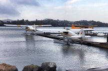 Greater Bay Area Seaplane Tour