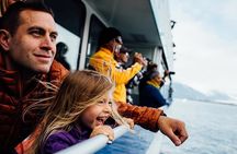 Kenai Fjords National Park Glacier & Wildlife Tour from Seward