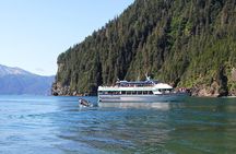 Kenai Fjords National Park Glacier & Wildlife Tour from Seward