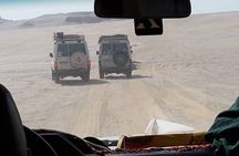 Day Trip to Valley of Whales from Cairo - Wadi El Hitan
