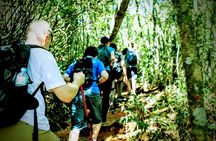 Tijuca Forest Challenge Full-Day Hike (Small-Group or Private)