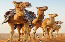 Fes to Marrakech 2 days Tour
