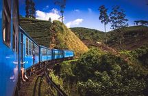 Sri Lanka 7 Days Tour Package – South Coast & Highlands