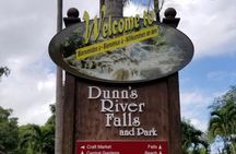 Dunn's River Falls Private Tour 