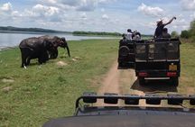 Day Tour from kandy to Sigiriya, Dambulla & National Park safari.