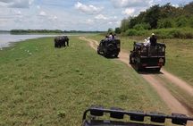  Half Day - Minneriya National Park Safari Tour From Habarana/Sigiriya
