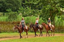 ATV Adventure + Horseback Riding and Natural Swimming Pool 