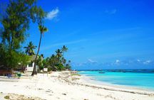 Nungwi Village & Sea Turtle Swimming Tour with Transfer-Zanzibar