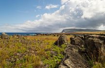 Moai Rise and Fall: Full Day Private Tour