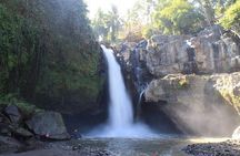 Highlights of Ubud: Nature, Rice Terrace, Waterfall, Temple and more