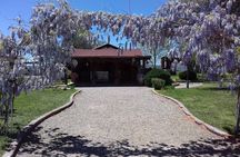 Ojos Negros Valley Wine and Cheese Route Tour in Baja California