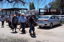 Ojos Negros Valley Wine and Cheese Route Tour in Baja California